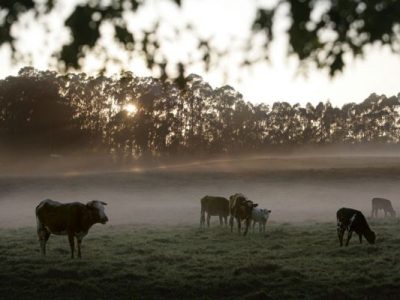 Fordoun Hotel, Spa and Farm Village