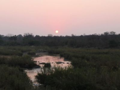 Burchell's Bush Lodge