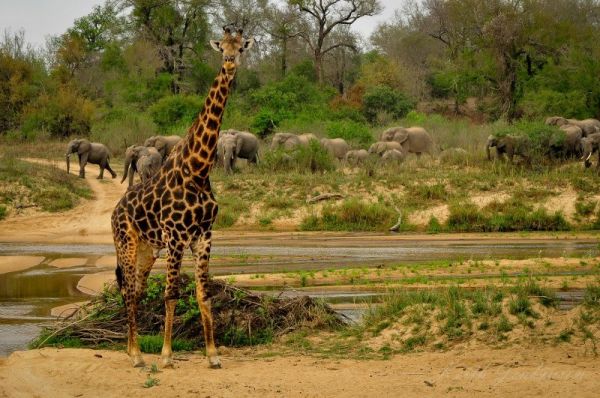 Inyati Game Lodge