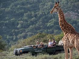 Southern Africa 360 - 2 Nights Amakhala Private Game Reserve Safaris: Amakhala Hillsnek or Safari Lodge