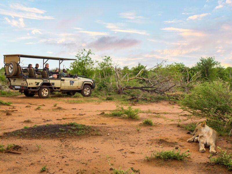 Madikwe River Lodge