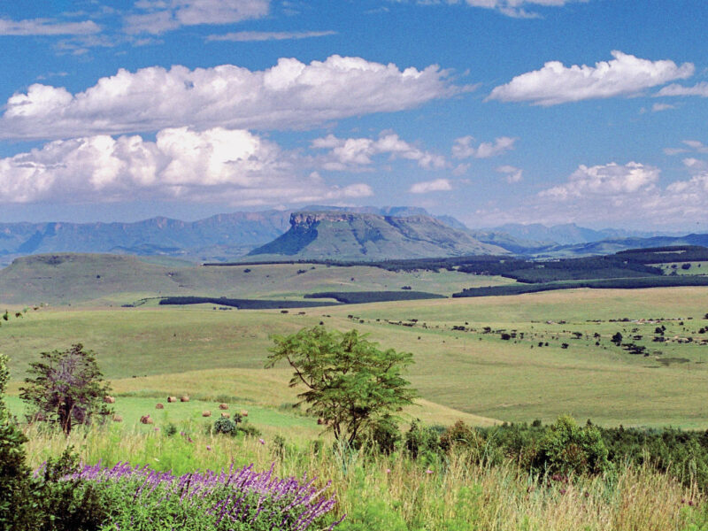 Antbear Eco Lodge