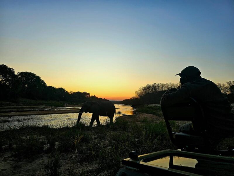 Inyati Game Lodge Sabi Sand Nature Reserve