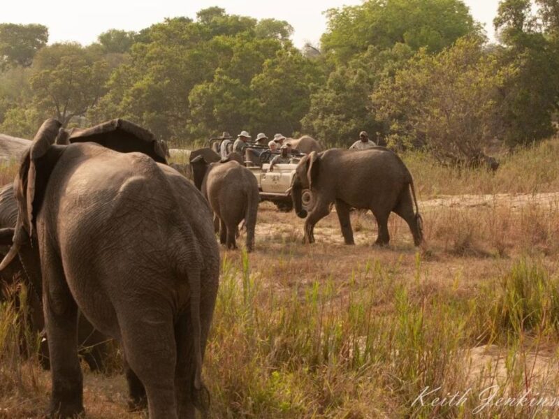 Inyati Game Lodge Sabi Sand Nature Reserve