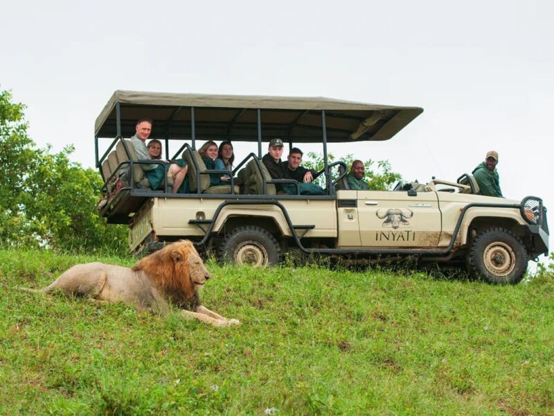 Inyati Game Lodge Sabi Sand Nature Reserve