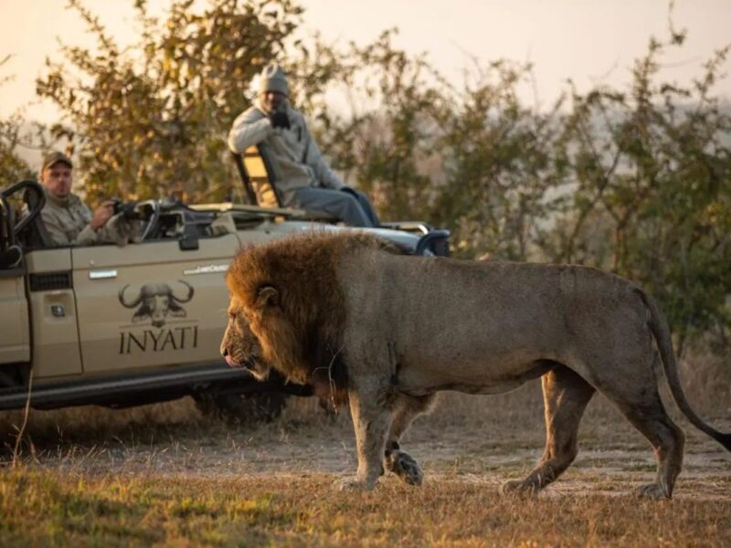 Inyati Game Lodge Sabi Sand Nature Reserve